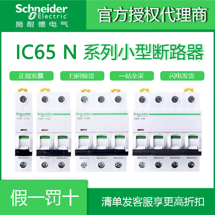 A9տIC65N·1P2P3P4P C10A16A20A32A63a