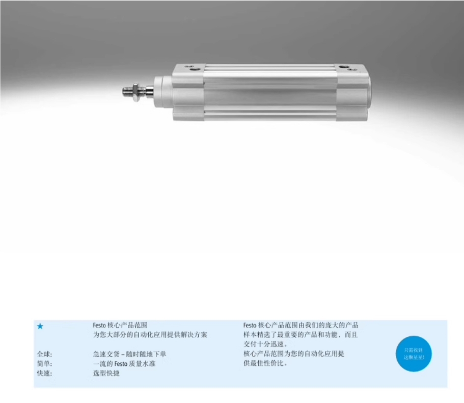 FESTO˹DSBC-50-100-PPSA-N3