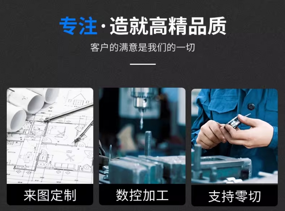 FESTO˹DSBC-63-25-PPSA-N3
