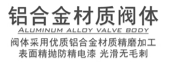 ǵ¿͵ŷ4V31010B巧